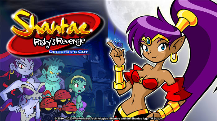 shantae-riskys-revenge-directors-cut-switch-hero.jpg