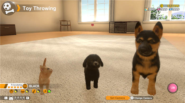 little-friends-dogs-and-cats-switch-screenshot04.jpg