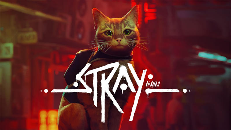 Stray 1.jpg